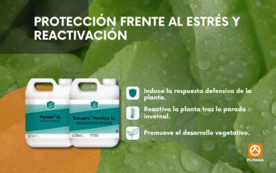 Herramientas bioestimulantes frente al frío