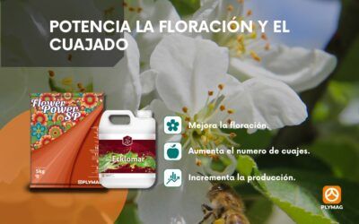 Potenciar la floración y el cuajado con Flower Power® SP y Ecklomar®