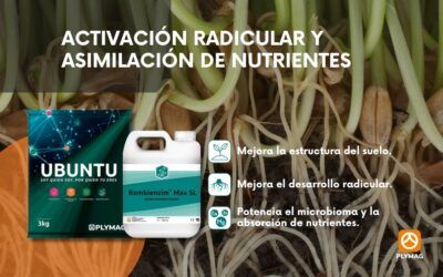 Como cuidar la salud de tu suelo y aumentar tus rendimientos con Ubuntu® y Rombienzim®