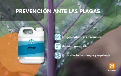 Ante las plagas, prevención con Ortimag®