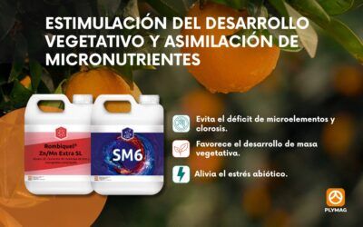 Estimulación del desarrollo vegetativo y asimilación de micronutrientes con SM6® Y ROMBIQUEL® ZnMn EXTRA SL