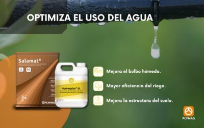 Mejorar la eficiencia del riego con   Salamat® SP y Humecplus® SL.