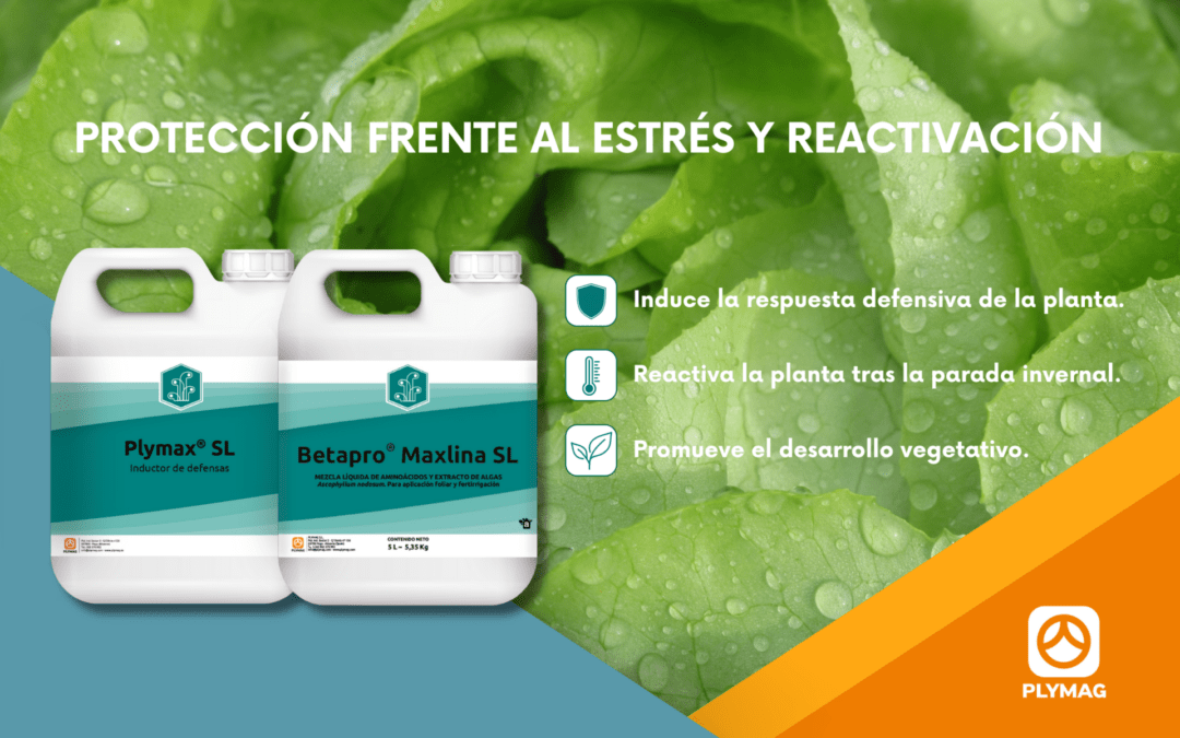 Estrategia de bioestimulación frente a las bajas temperaturas: prevención, protección y recuperación