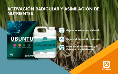 Cómo transformar la salud del suelo y maximizar la productividad agrícola