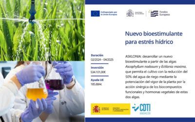 Nuevo Proyecto Algas: innovación en bioestimulantes contra el estrés hídrico | PLYMAG