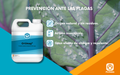 Prevención inteligente frente a las plagas con Ortimag®