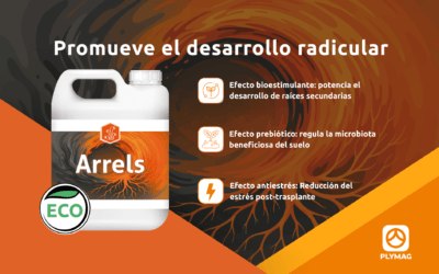 Arrels: Ciencia y Naturaleza para un Enraizamiento de Alto Rendimiento